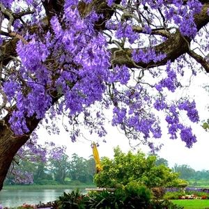 Meet your Posher, Sienna